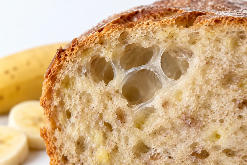 Conceptual close-up of a hydrated film spanning bread gas cells