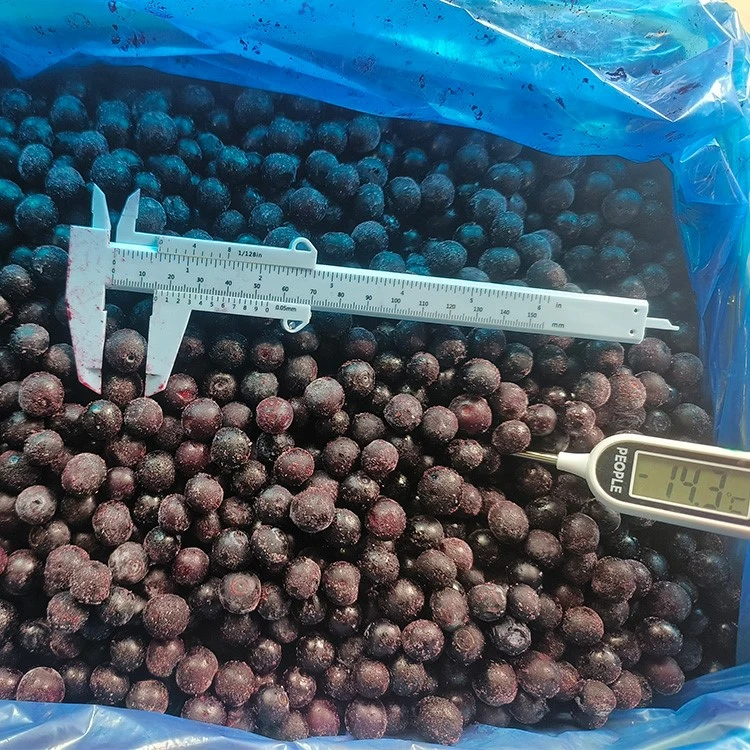 frozen blueberries for balanced diet and weight management applications frozen blueberries for balanced diet and weight management applications