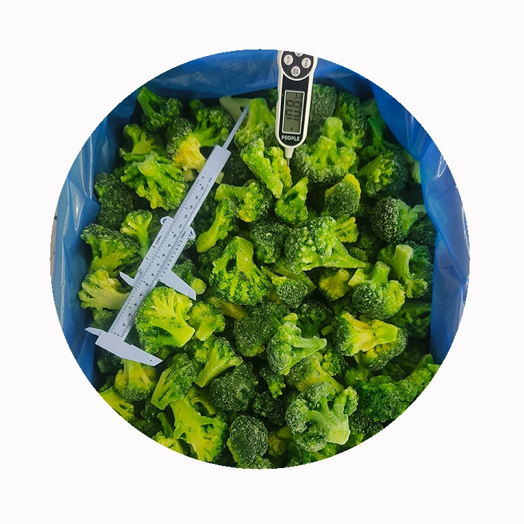 Frozen broccoli florets and chopped broccoli solution from GreenLand-food IQF frozen broccoli supplier for florets chopped broccoli and bulk foodservice use